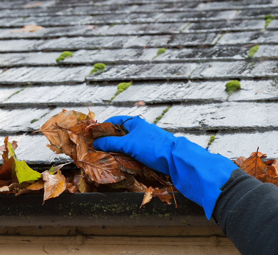 clogged gutters