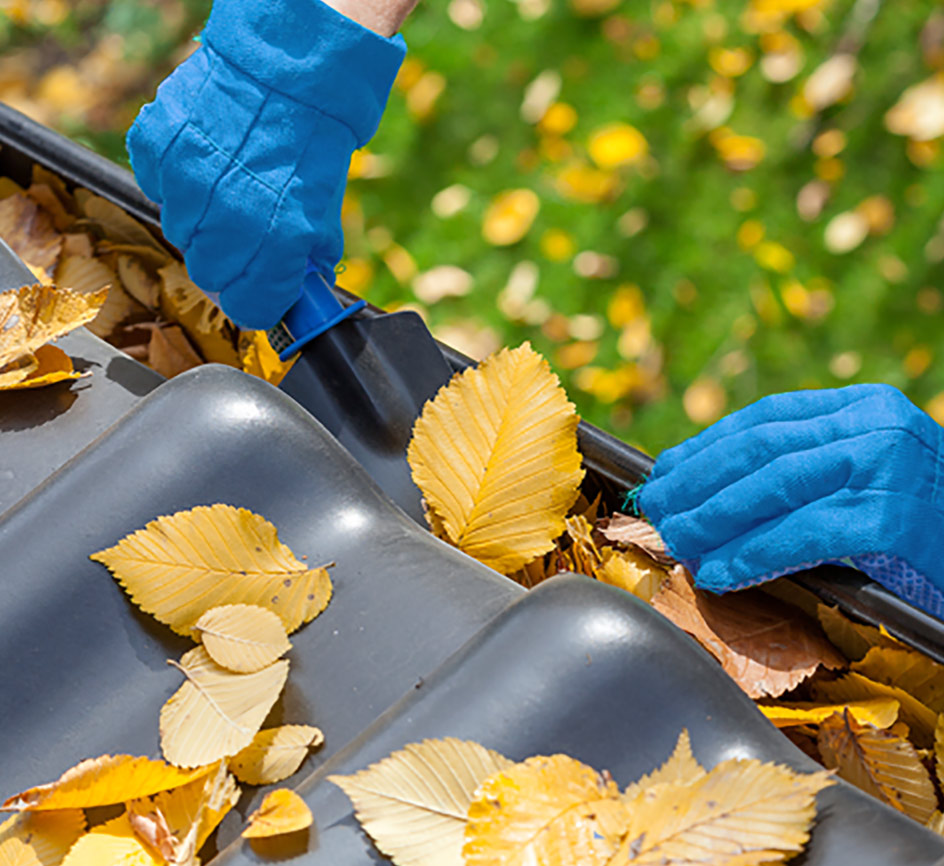 best time to Clean your gutters